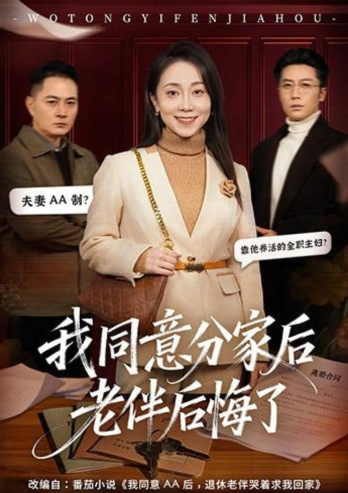 大明风华录